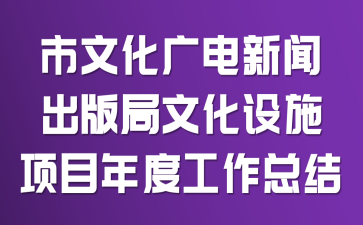 市文化广电新闻出版局文化设施项目年度工作总结