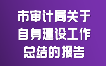 市审计局关于自身建设工作总结的报告