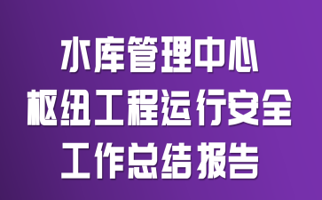 水库管理中心枢纽工程运行安全工作总结报告