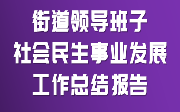 街道领导班子社会民生事业发展工作总结报告