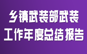 乡镇武装部武装工作年度总结报告