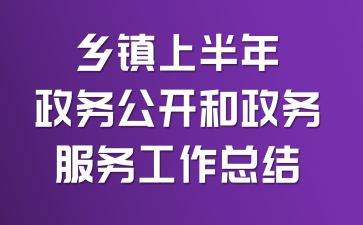 乡镇上半年政务公开和政务服务工作总结