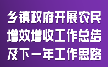 ����������չũ����Ч���չ����ܽἰ��һ�깤��˼·