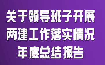 �����쵼���ӿ�չ����������ʵ�������ܽᱨ��