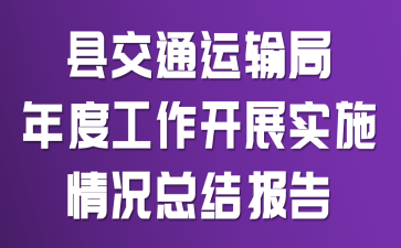 县交通运输局年度工作开展实施情况总结报告