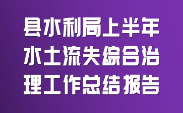 ��ˮ�����ϰ���ˮ����ʧ�ۺ����������ܽᱨ��