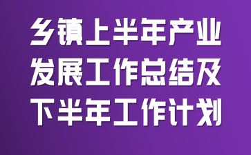 �����ϰ����ҵ��չ�����ܽἰ�°��깤���ƻ�