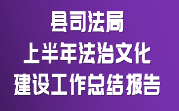 ��˾�����ϰ��귨���Ļ����蹤���ܽᱨ��