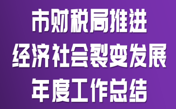 市财税局推进经济社会 发展年度工作总结