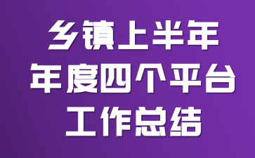 乡镇上半年年度四个平台工作总结