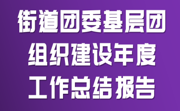街道团委基层团组织建设年度工作总结报告
