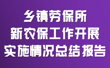 乡镇劳保所新农保工作开展实施情况总结报告