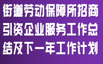�ֵ��Ͷ�����������������ҵ�������ܽἰ��һ�깤���ƻ�