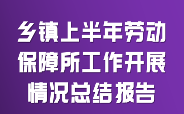 乡镇上半年劳动保障所工作开展情况总结报告