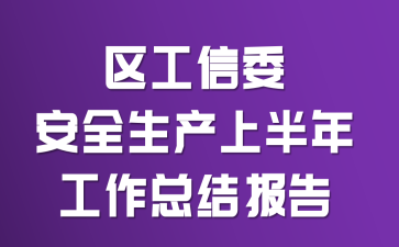 ������ί��ȫ�����ϰ��깤���ܽᱨ��