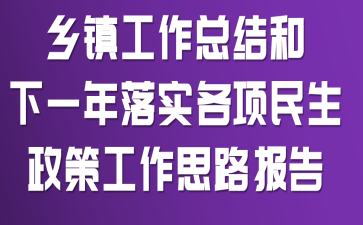 乡镇工作总结和下一年落实各项民生政策工作思路报告