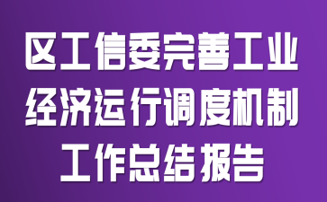 区工信委完善工业经济运行调度机制工作总结报告