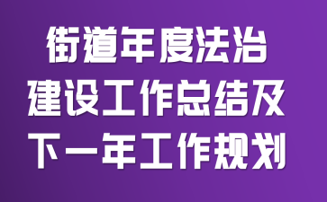 街道年度法治建设工作总结及下一年工作规划