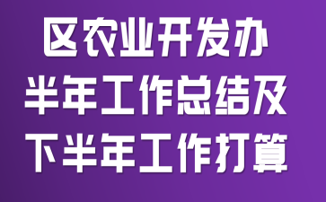 区农业开发办半年工作总结及下半年工作打算