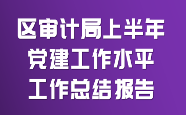 区审计局上半年党建工作水平工作总结报告