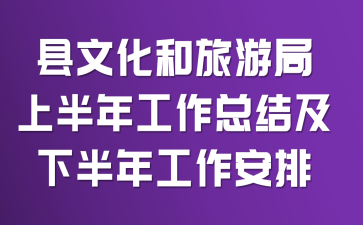 县文化和旅游局上半年工作总结及下半年工作安排