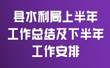 县水利局上半年工作总结及下半年工作安排