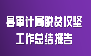 县审计局脱贫攻坚工作总结报告