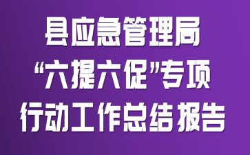 县应急管理局 “六提六促”专项行动工作总结报告