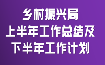 乡村振兴局上半年工作总结及下半年工作计划