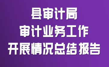 ����ƾ����ҵ������չ����ܽᱨ��