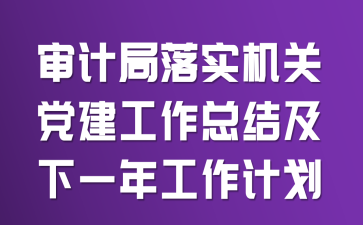 审计局落实机关党建工作总结及下一年工作计划
