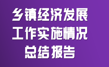 乡镇经济发展工作实施情况总结报告