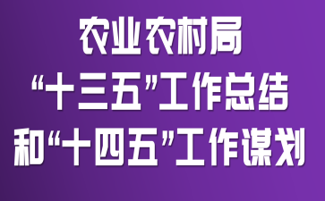 农业农村局“十三五”工作总结和“十四五”工作谋划