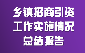 乡镇招商引资工作实施情况总结报告