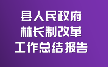 县人民政府林长制改革工作总结报告