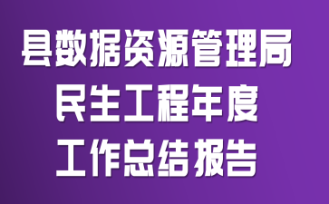 县数据资源管理局民生工程年度工作总结报告