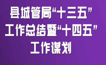 县城管局“十三五”工作总结暨“十四五”工作谋划