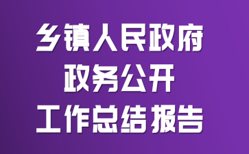 乡镇人民政府政务公开工作总结报告