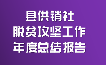 县供销社脱贫攻坚工作年度总结报告