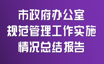 市政府办公室规范管理工作实施情况总结报告