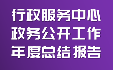 行政服务中心政务公开工作年度总结报告