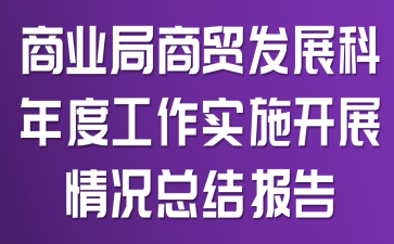 商业局商贸发展科年度工作实施开展情况总结报告