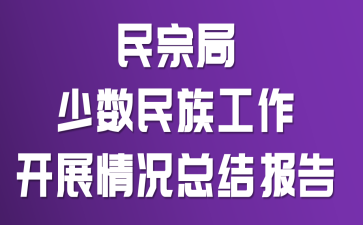 民宗局少数民族工作开展情况总结报告