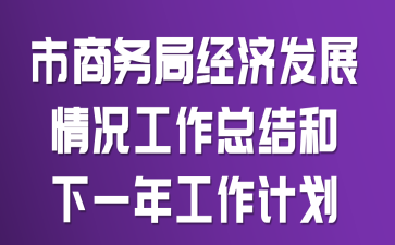 市商务局经济发展情况工作总结和下一年工作计划
