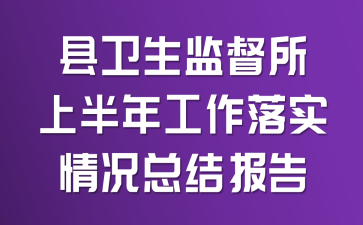 县卫生监督所上半年工作落实情况总结报告