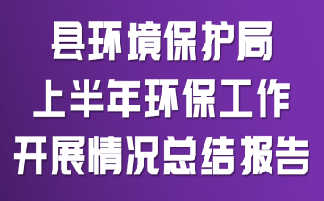 县环境保护局上半年环保工作开展情况总结报告
