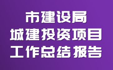 市建设局城建投资项目工作总结报告
