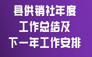 县供销社年度工作总结及下一年工作安排