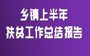 乡镇上半年扶贫工作总结报告