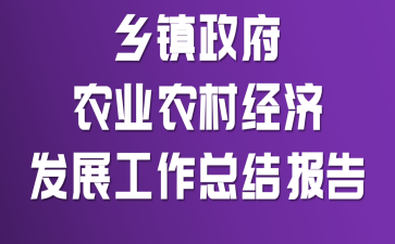 乡镇政府农业农村经济发展工作总结报告